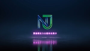 视频模板